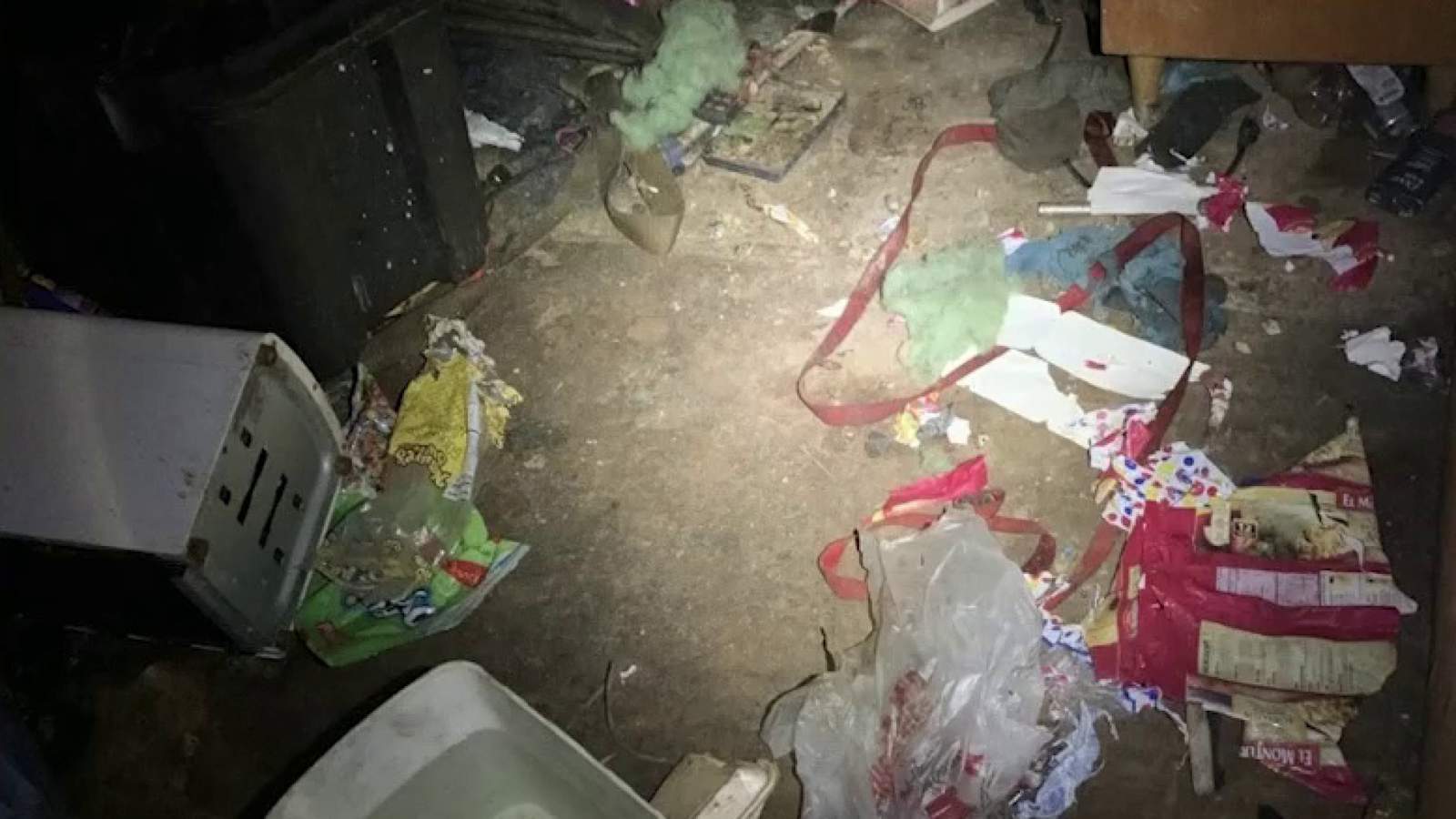 Dogs ate chips of wood, feces, plastic as owner starved them to death, sheriff says