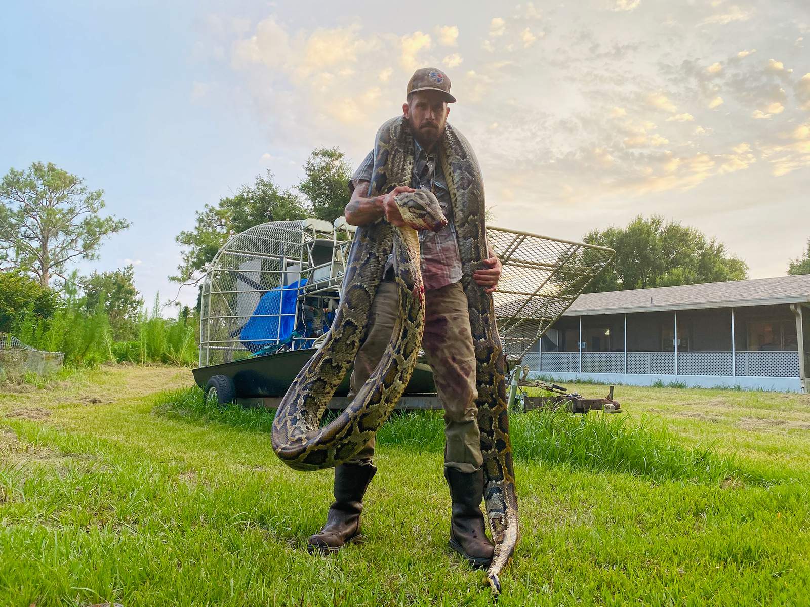 17-foot python caught in Florida Everglades