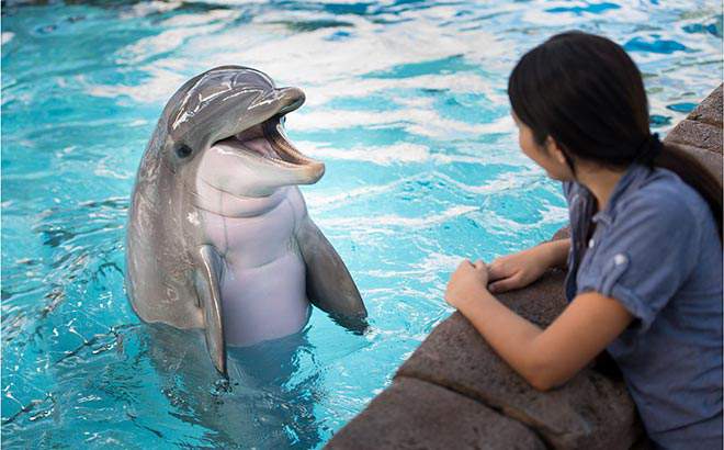 SeaWorld, Aquatica passholders get lineup of special offerings this month
