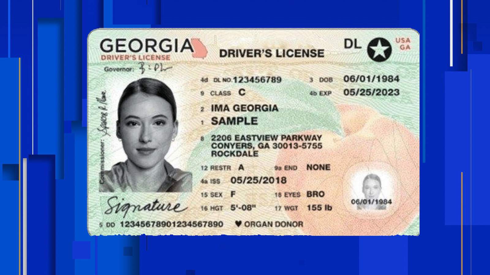 drivers license test ga