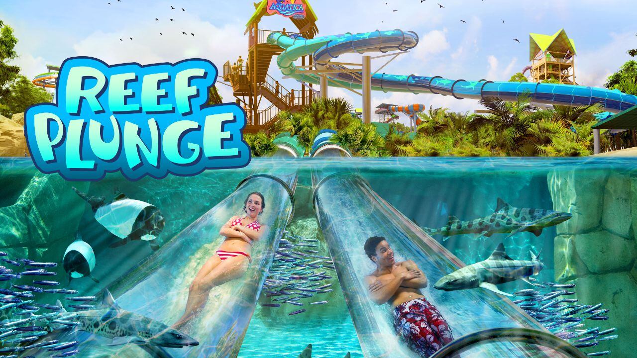 Aquatica gives opening date for ‘Reef Plunge’ body slide