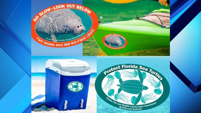 New stickers to help conservation efforts for Florida manatees, sea turtles