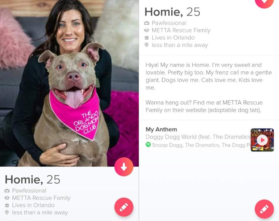 Group Creates Tinder Profiles For Central Florida Dogs Up For Adoption