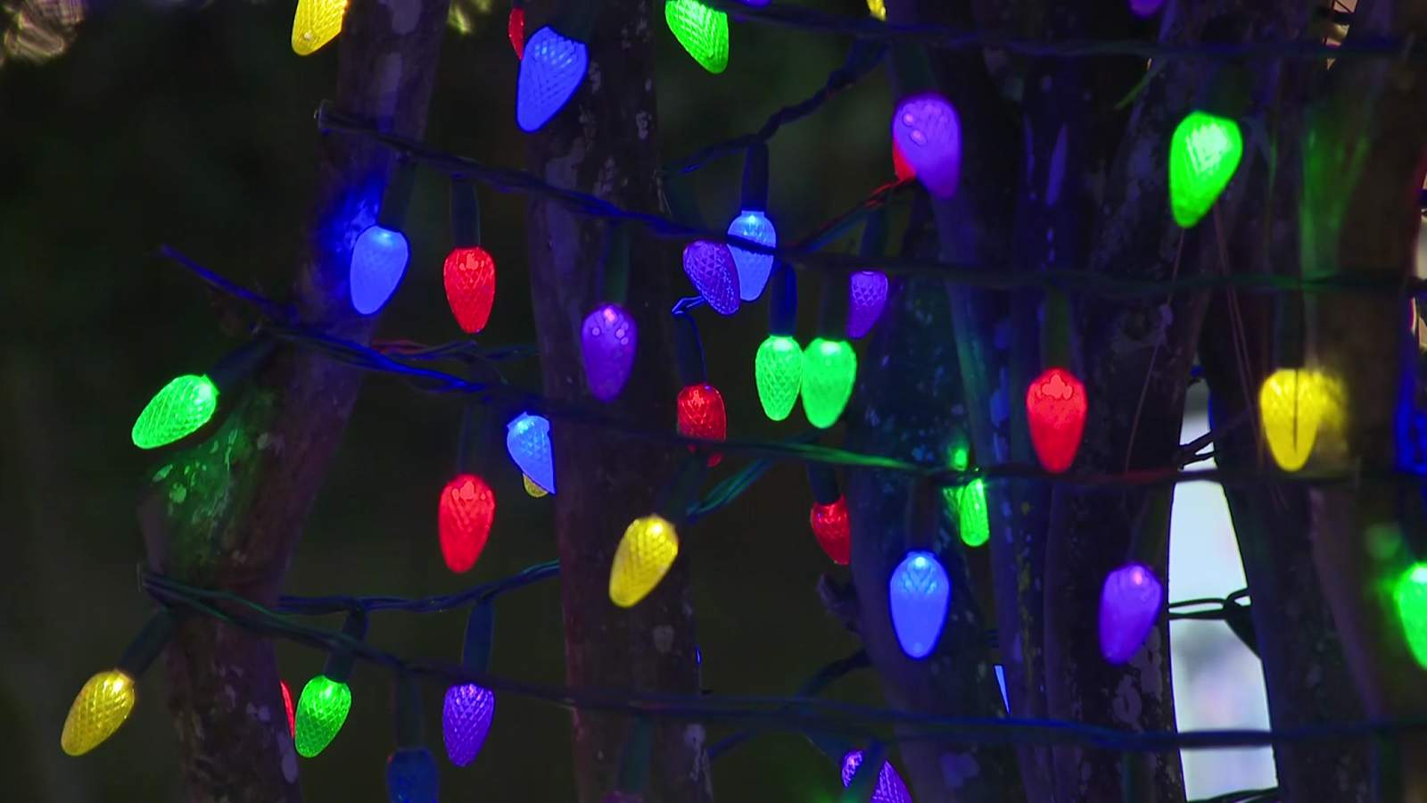 Florida boy, 7, struck, killed while looking at Christmas lights with family