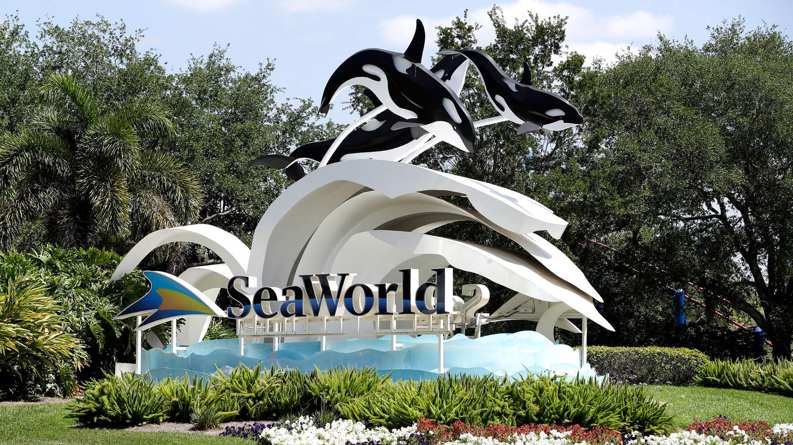 Seaworld Extending Active Annual Passes And Memberships Amid