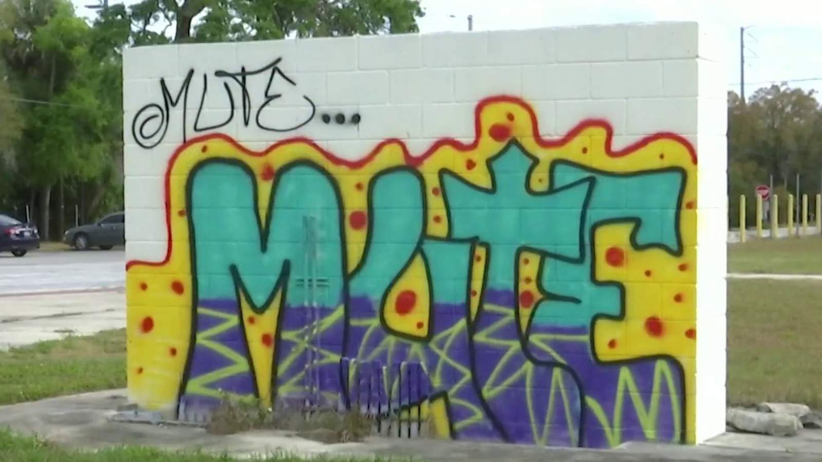 Who Is The Leesburg Graffiti Artist Known As Mute