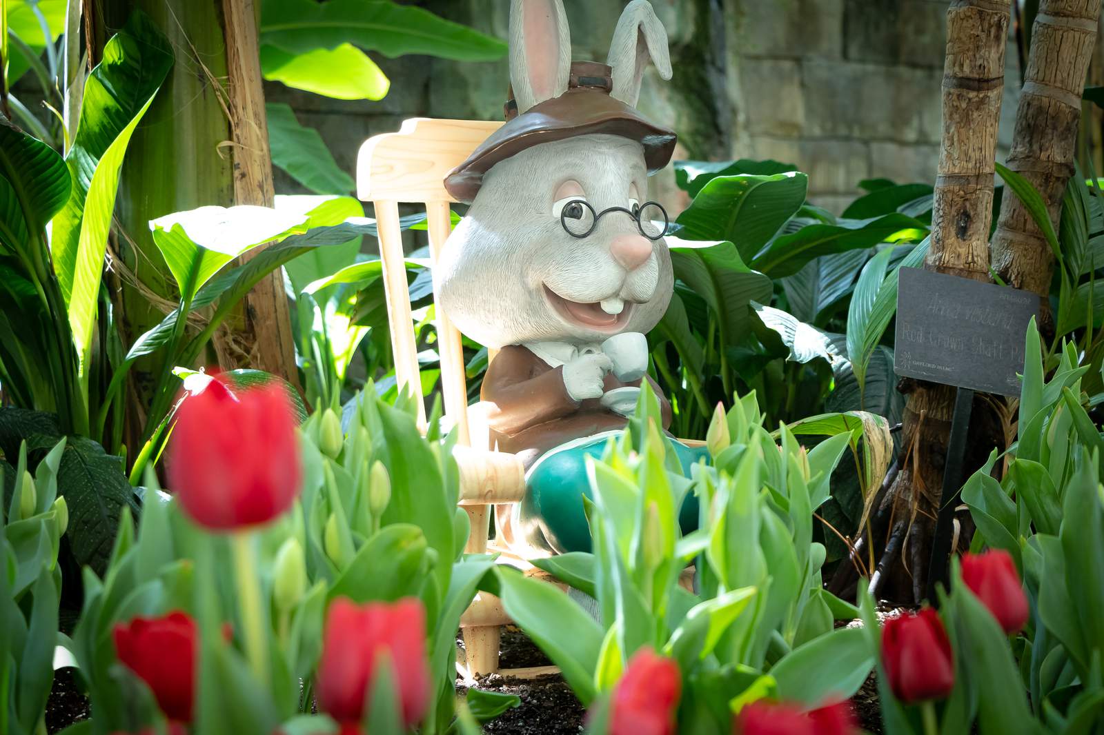 Hop into spring with these events at Gaylord Palms Resort