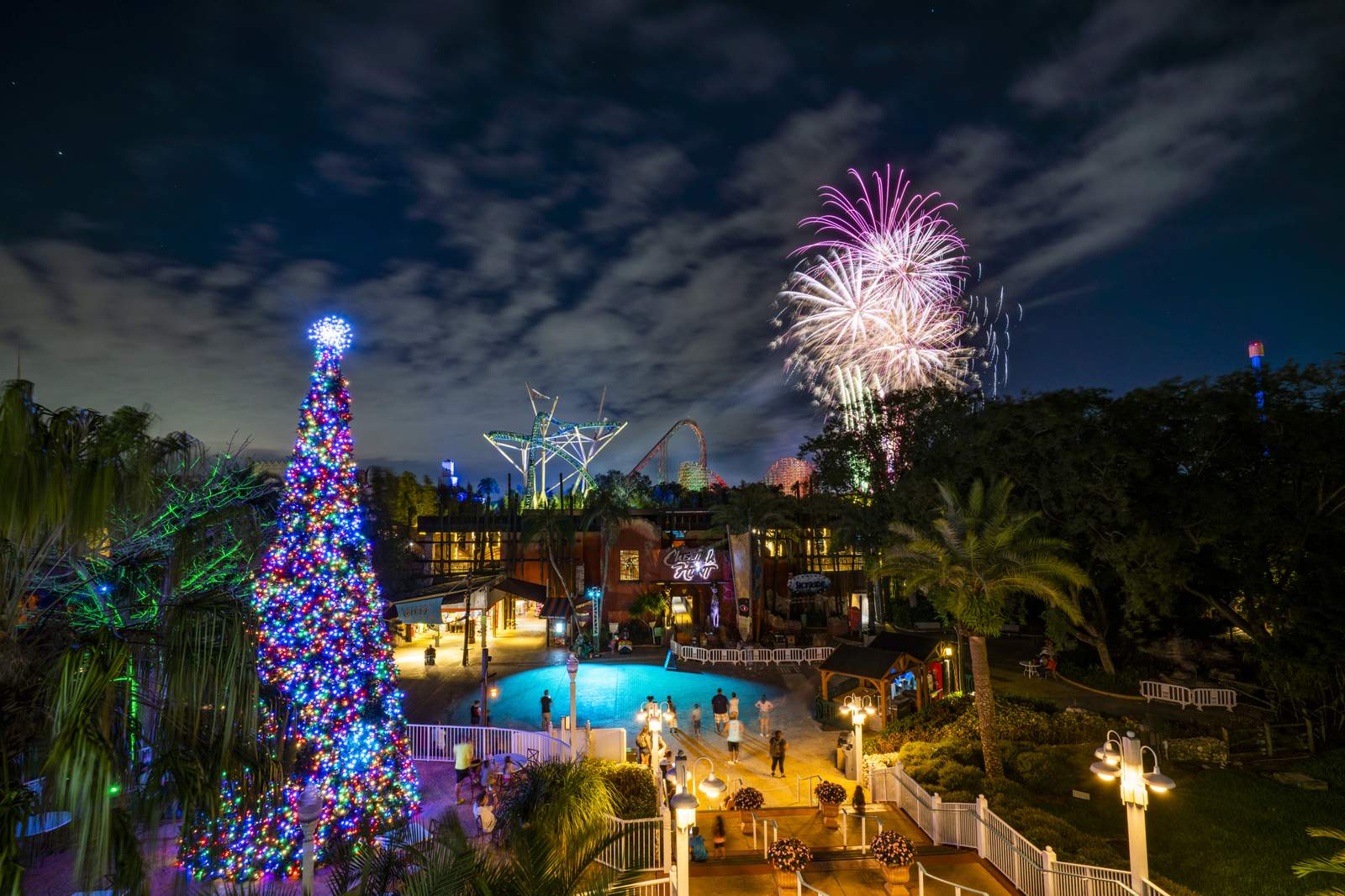 Busch Gardens Tampa Bay details New Year’s Eve celebrations