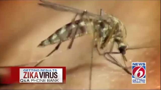 Two Central Florida Zika cases reported