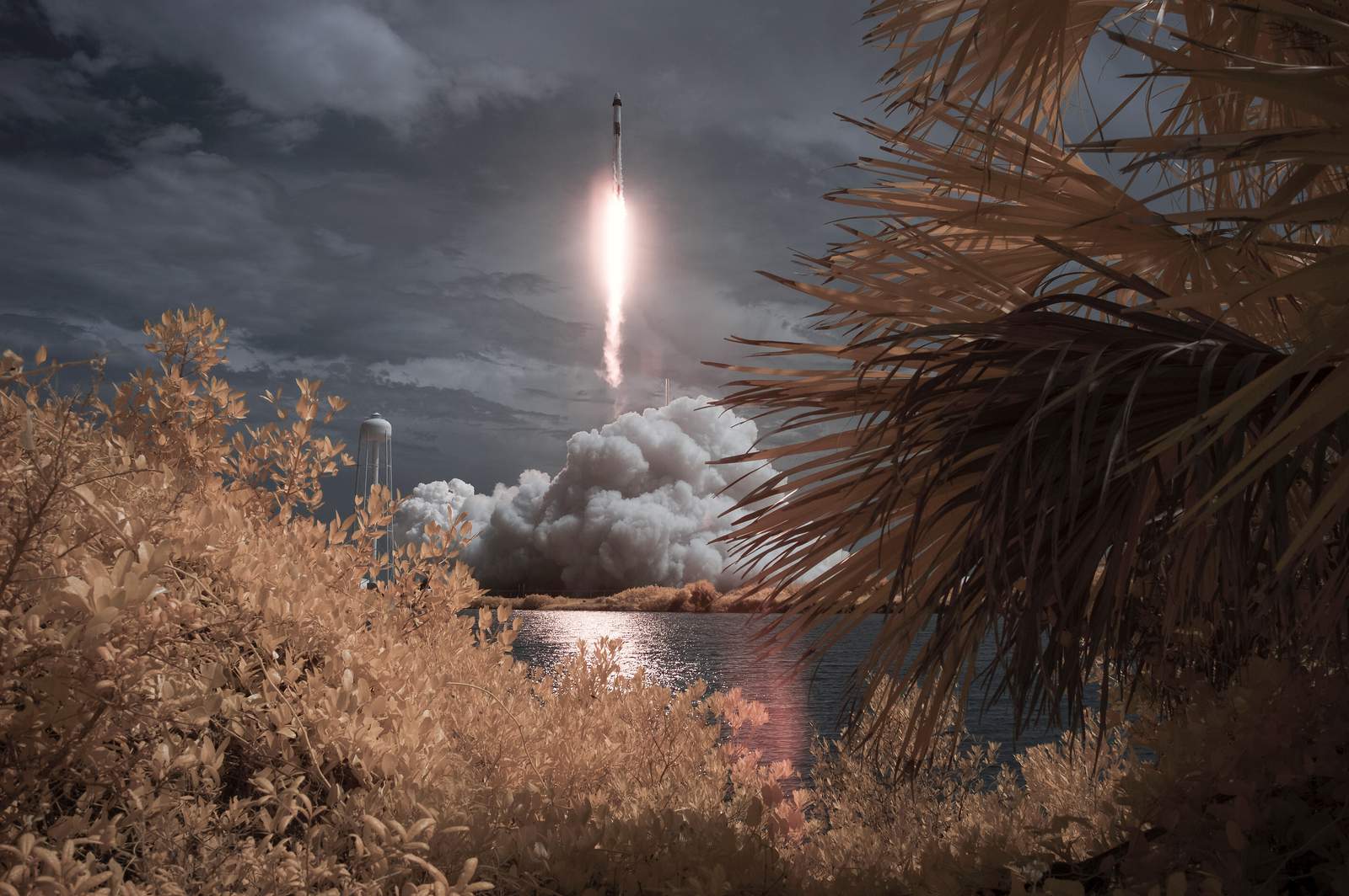 Space roundup: List of launches, landings and out-of-this world announcements