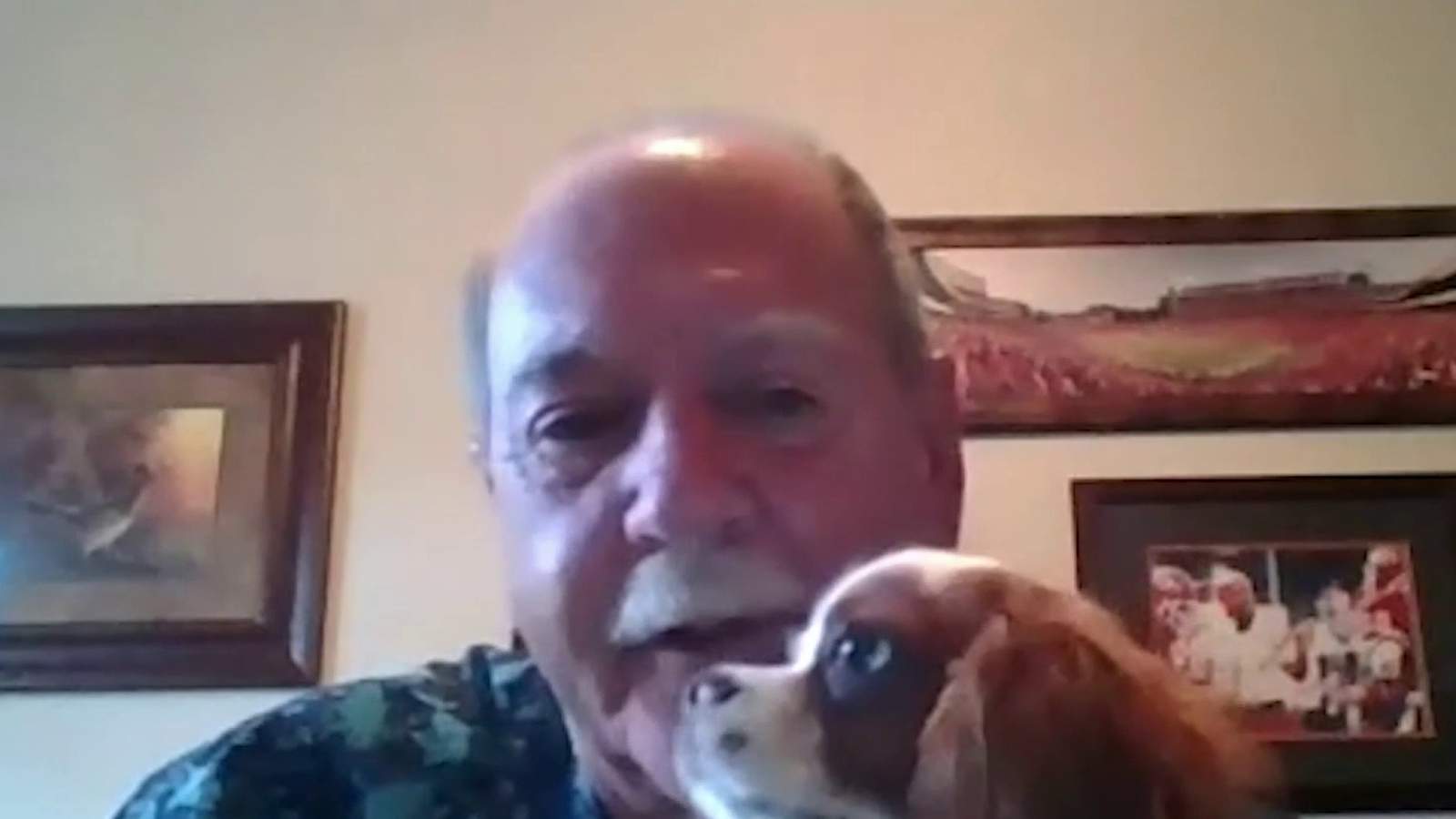 Puppy pried from gator’s mouth by his human doing just fine