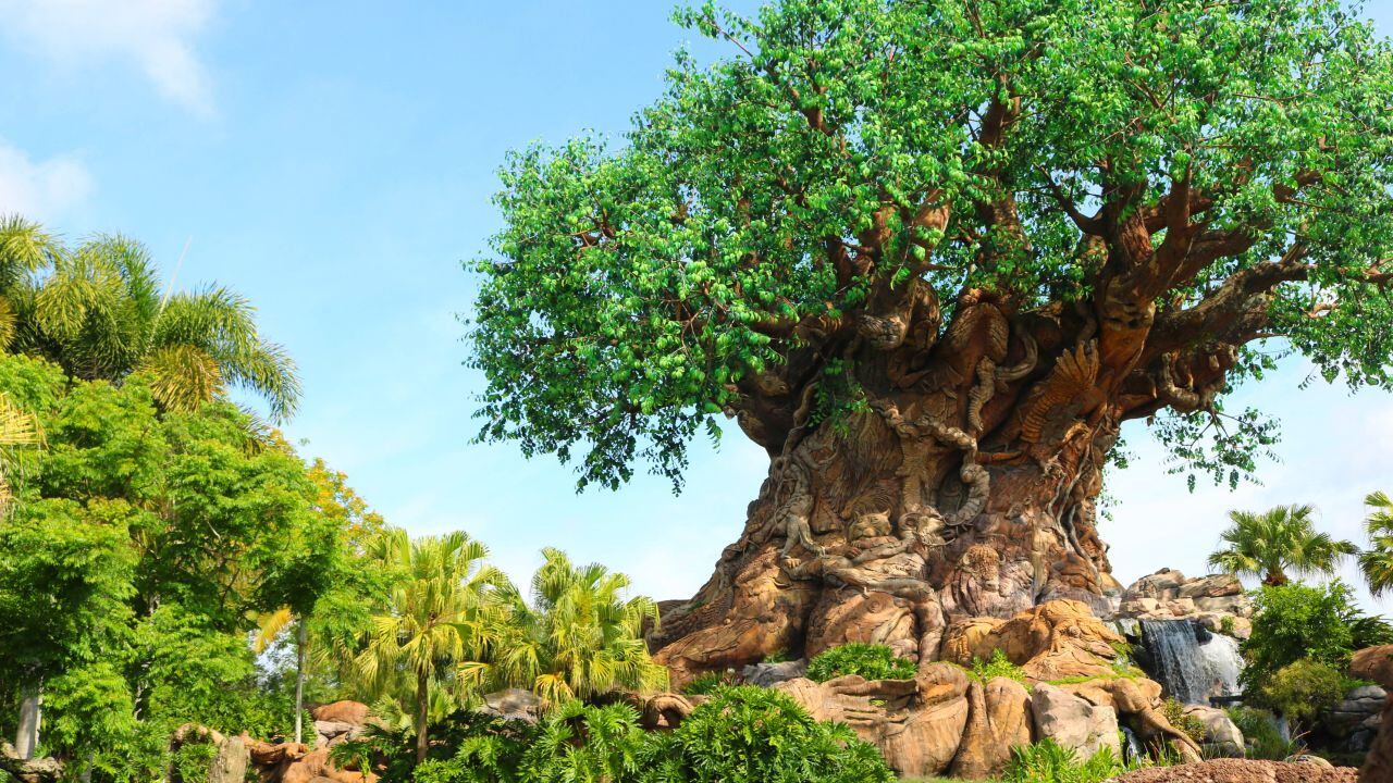 How to celebrate Earth Day at Disney’s Animal Kingdom