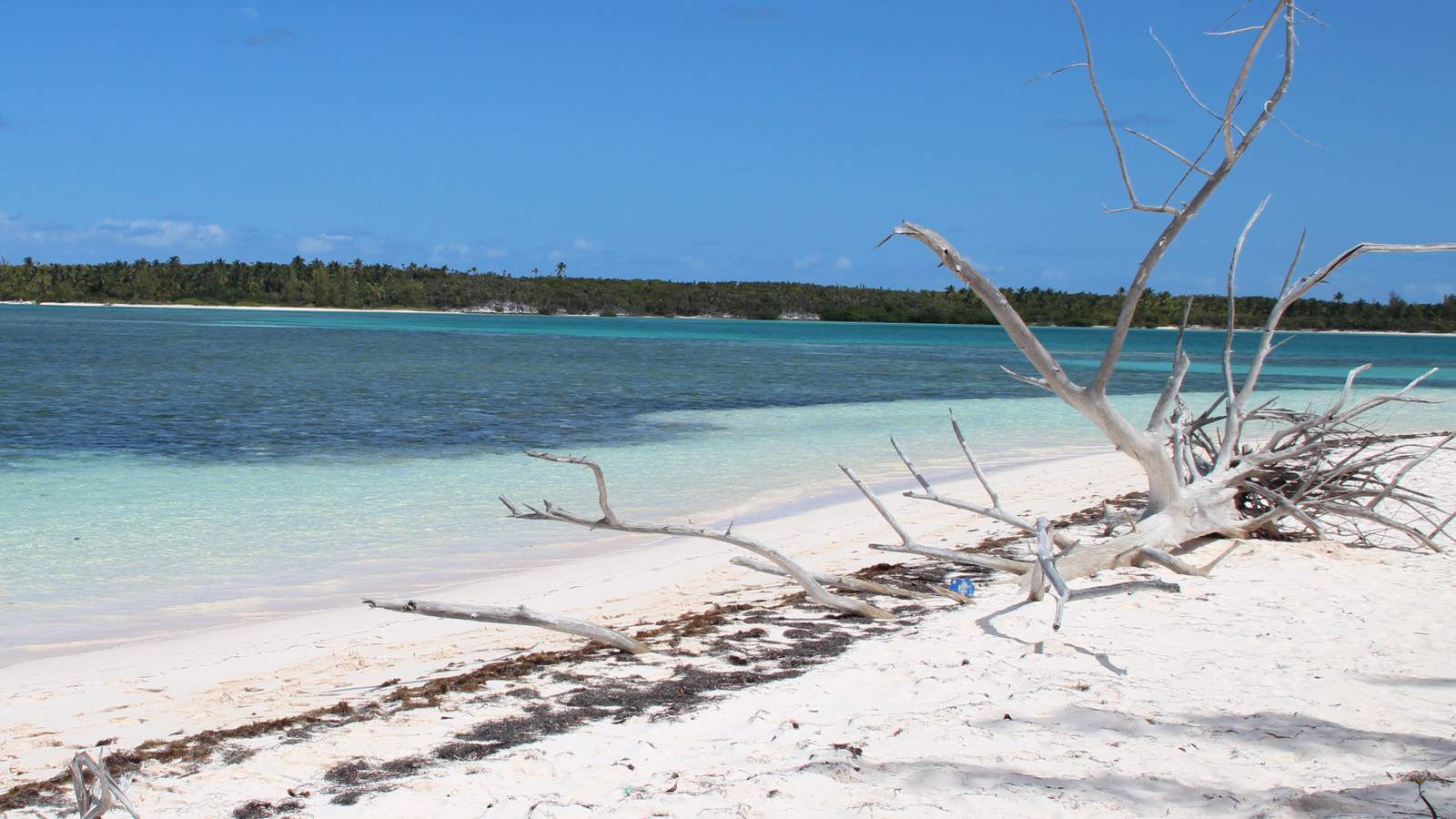 Bahamas banning US travelers starting Wednesday