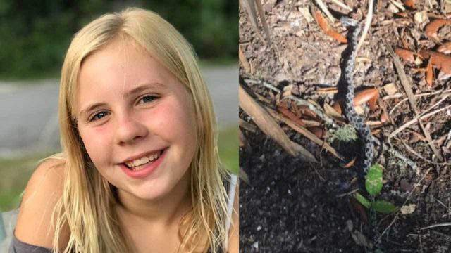11-year-old girl bitten by pygmy rattlesnake in Volusia