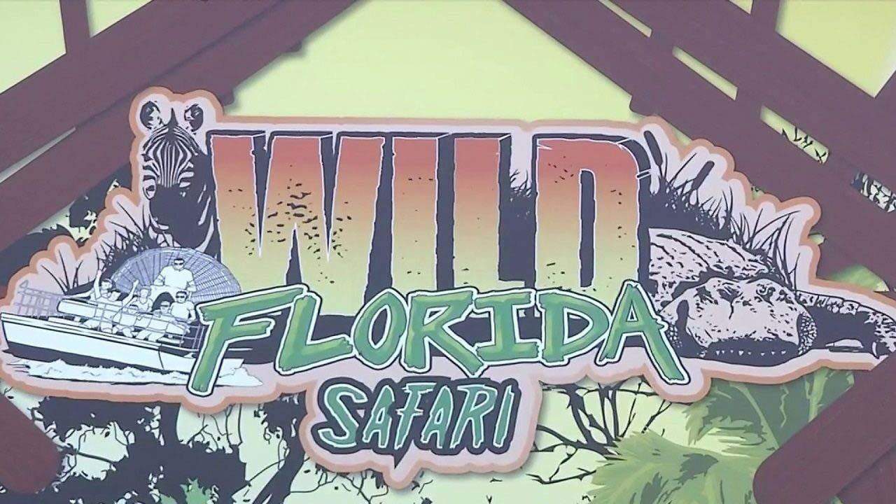 Wild Florida closes all experiences except drive-thru safari