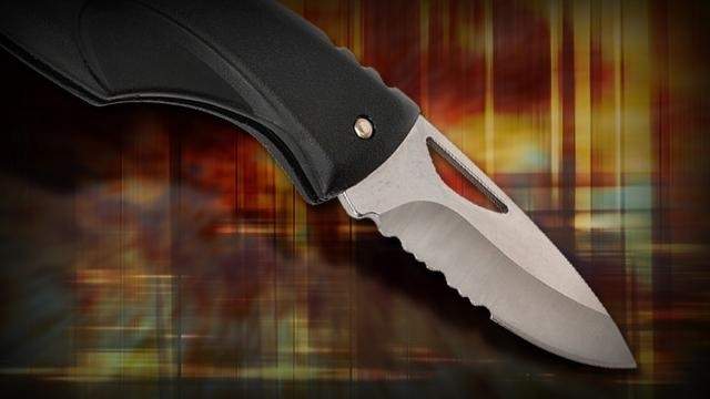 Lake County man stabs house guest with kitchen knife, deputies say