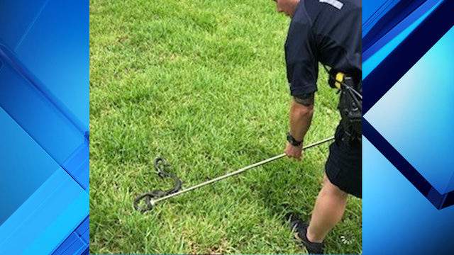 From sweet treat citations to snakes in custody, Central Florida’s first responders do it all