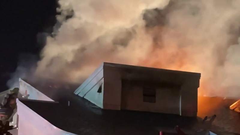 ‘Worst nightmare:’ Numerous cats killed in fire at Pet Alliance of Greater Orlando