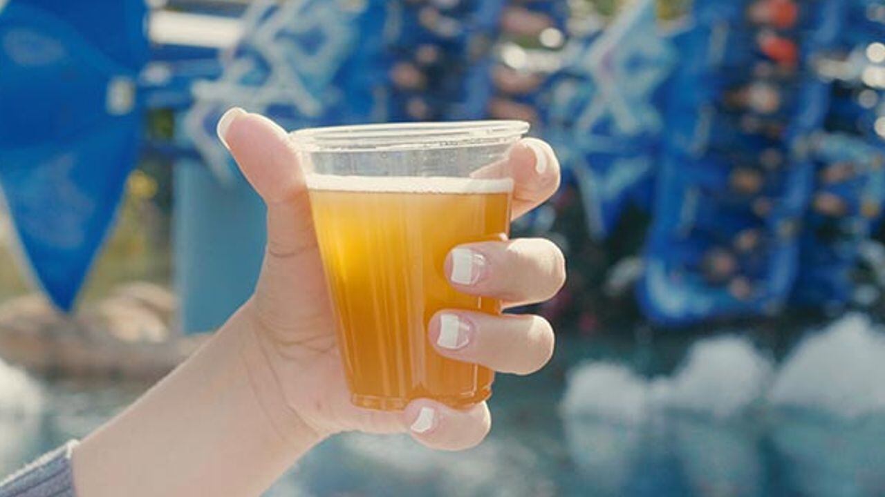 SeaWorld Orlando and Busch Gardens Tampa Bay bring back free beer for limited time