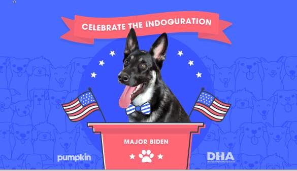 Joe Biden’s dog, Major, to get virtual ‘Indoguration’