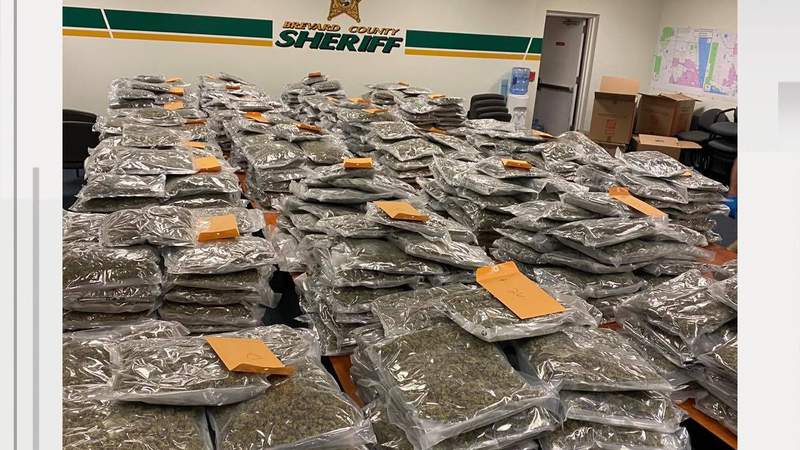 770 pounds of marijuana found in Viera storage facility, deputies say
