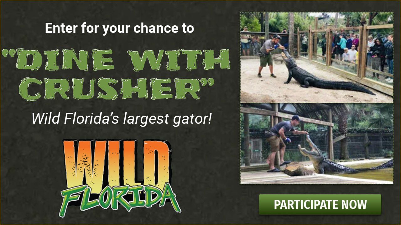 Contest Rules for Dine with Crusher, Wild Florida’s largest gator!