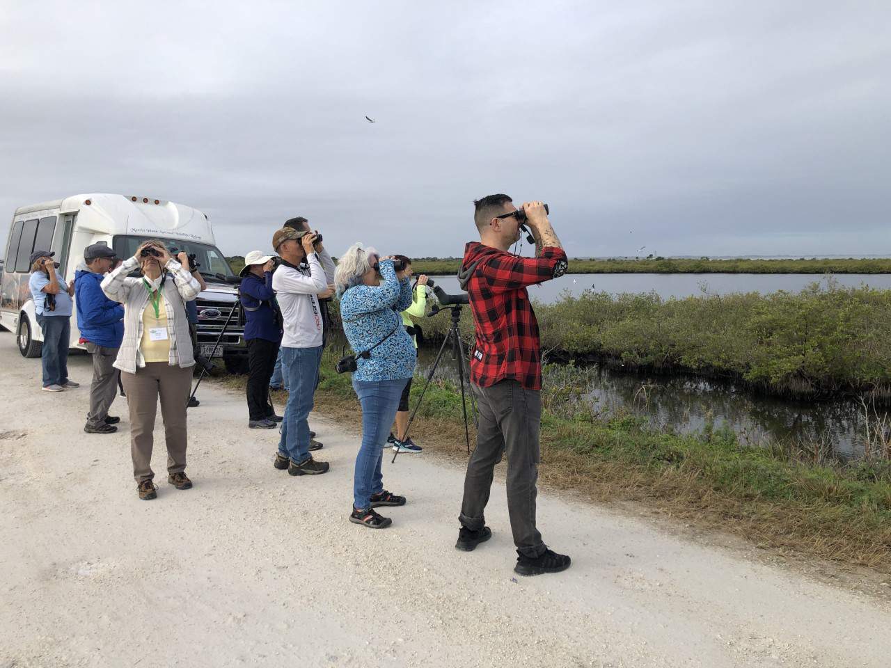 Florida birds at risk of extinction due to climate change, study says - WKMG News 6 & ClickOrlando