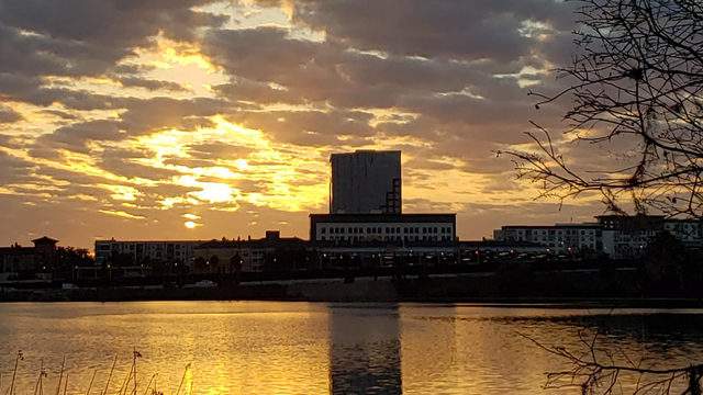 No description available