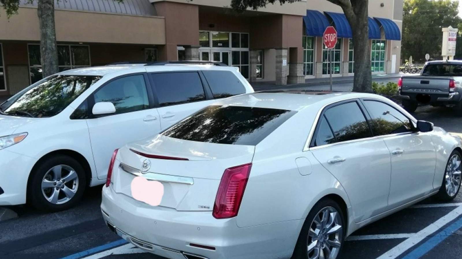 What the Honk: Parking in a loading zone and tinted windows in Florida