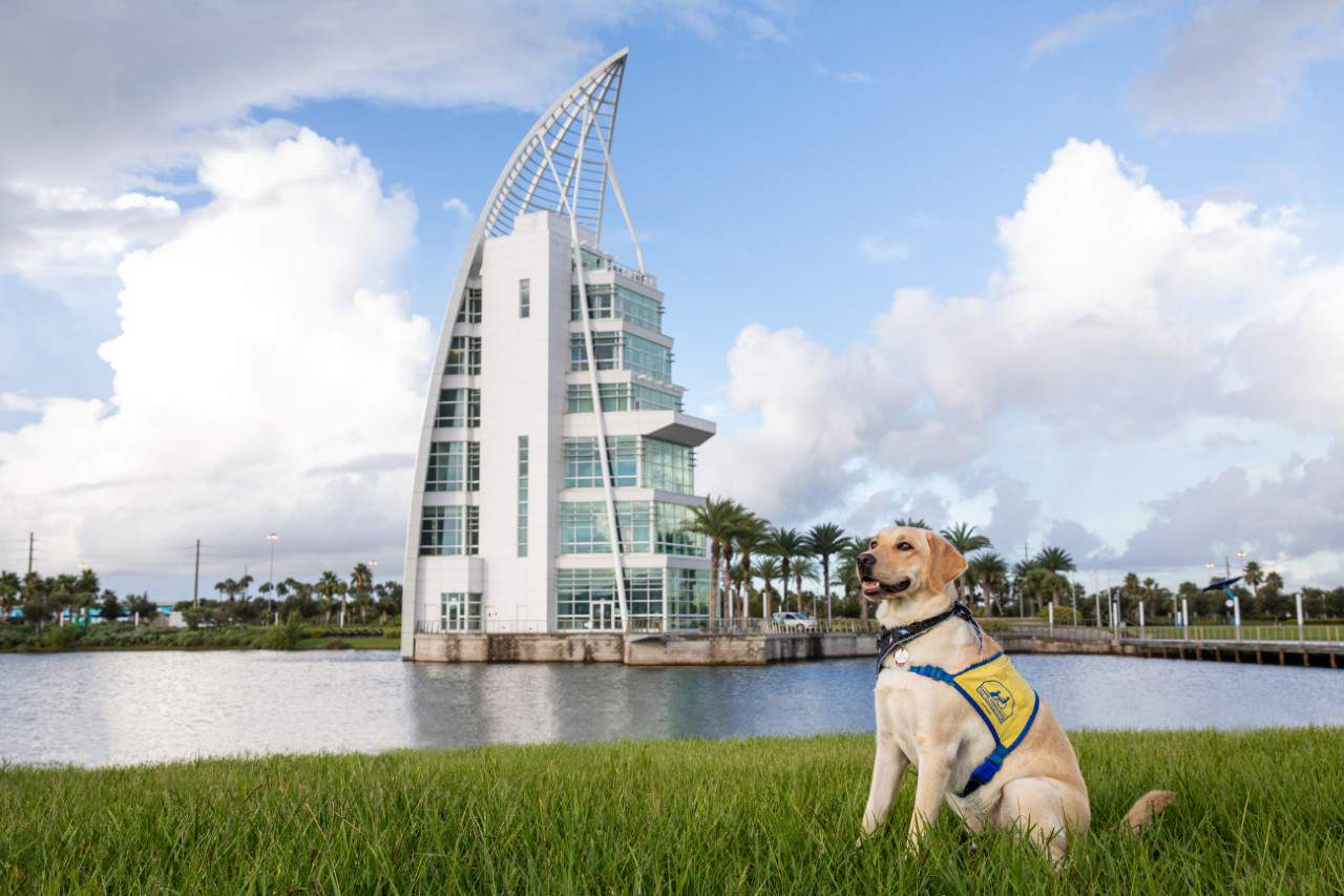 Coffee table book featuring Space Coast pups to benefit Canine Companions for Independence
