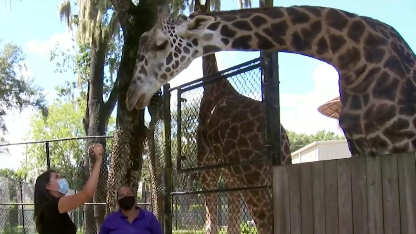 Getting spooky: Central Florida Zoo hosts Boo Bash
