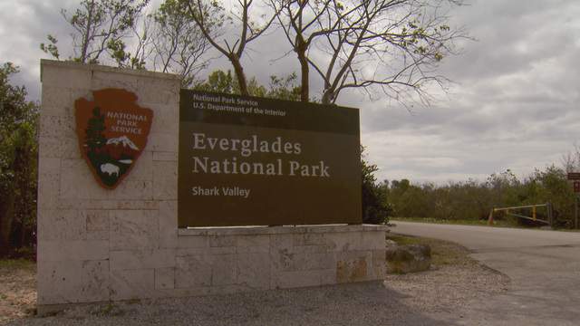 Man who fired gun at Everglades park rangers captured