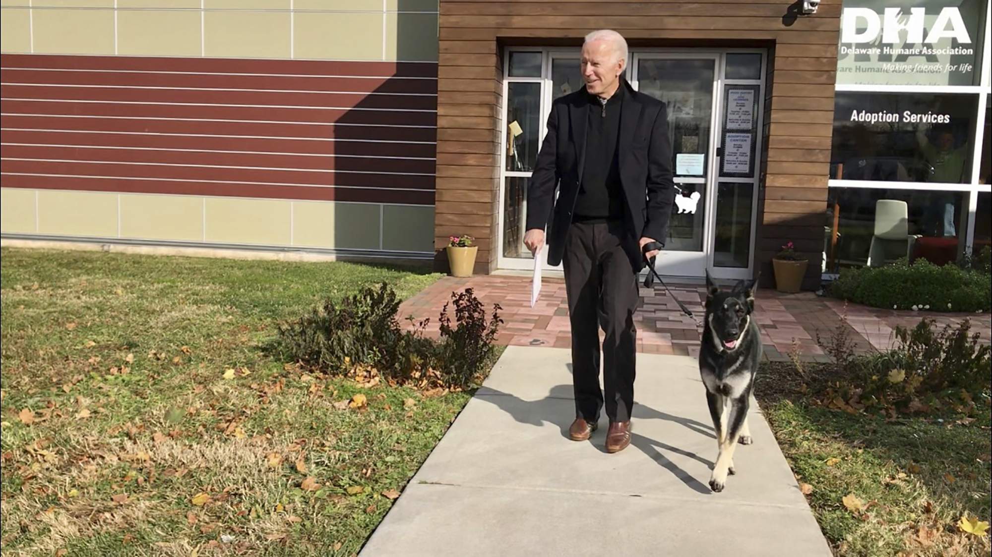 Bidens’ German shepherds back at White House after Major spends time with trainer