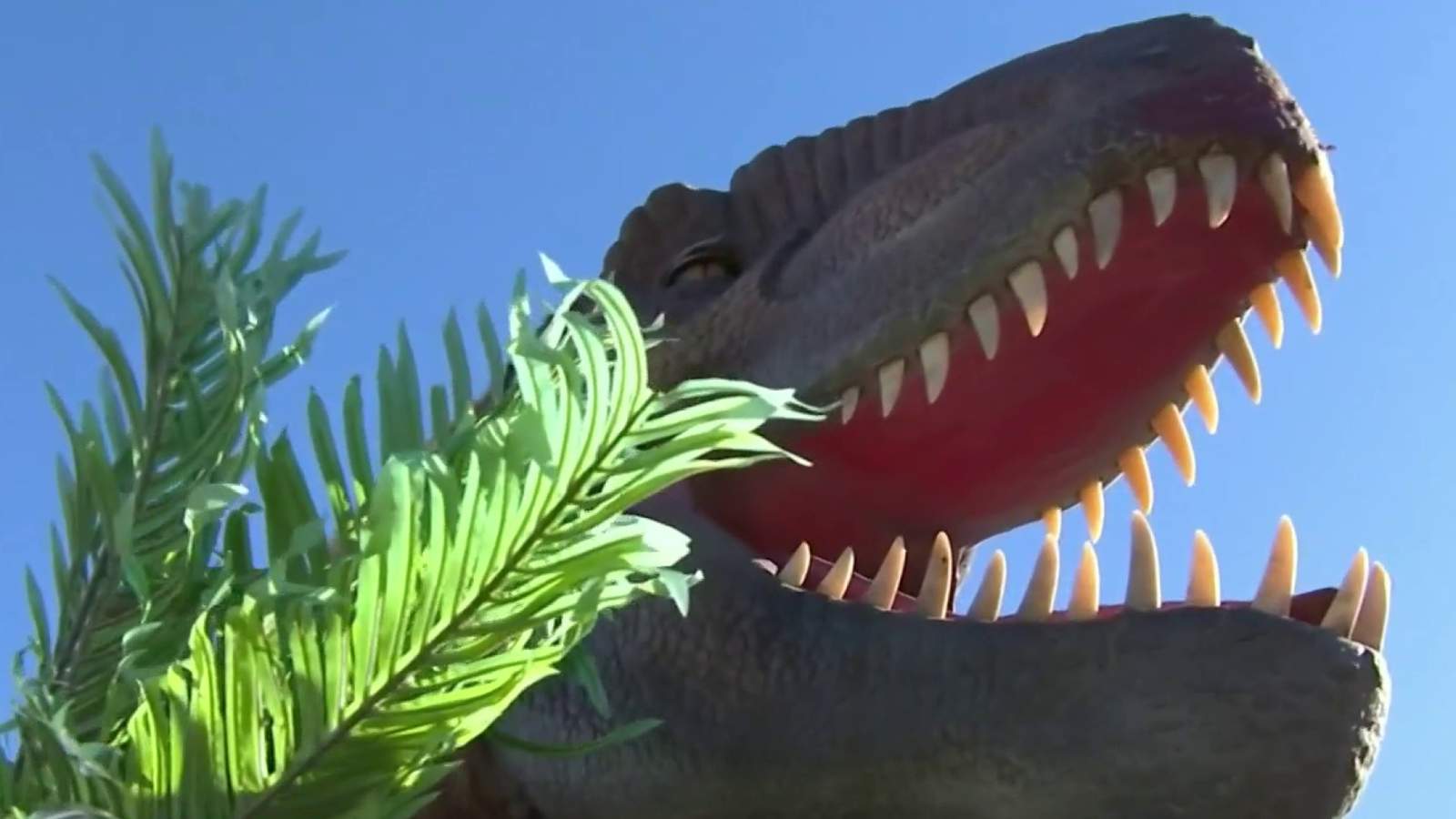 Drive-thru dinosaur experience coming to Orlando