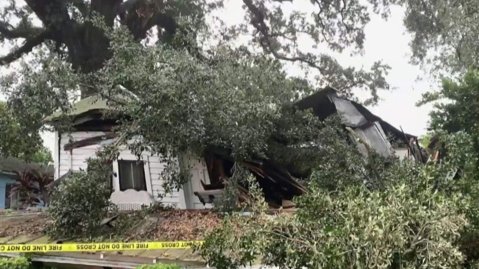 90-year-old woman escapes injury after massive tree falls on home