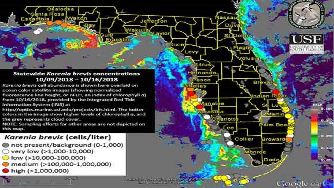 These Florida Maps Show Where Red Tide Blue Green Algae Are The Worst