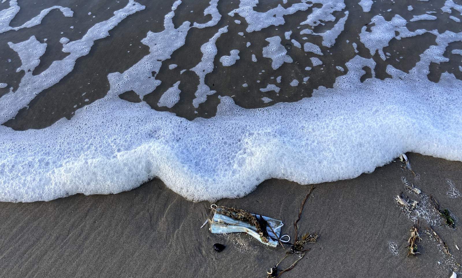 Discarded masks litter beaches worldwide, threaten sea life