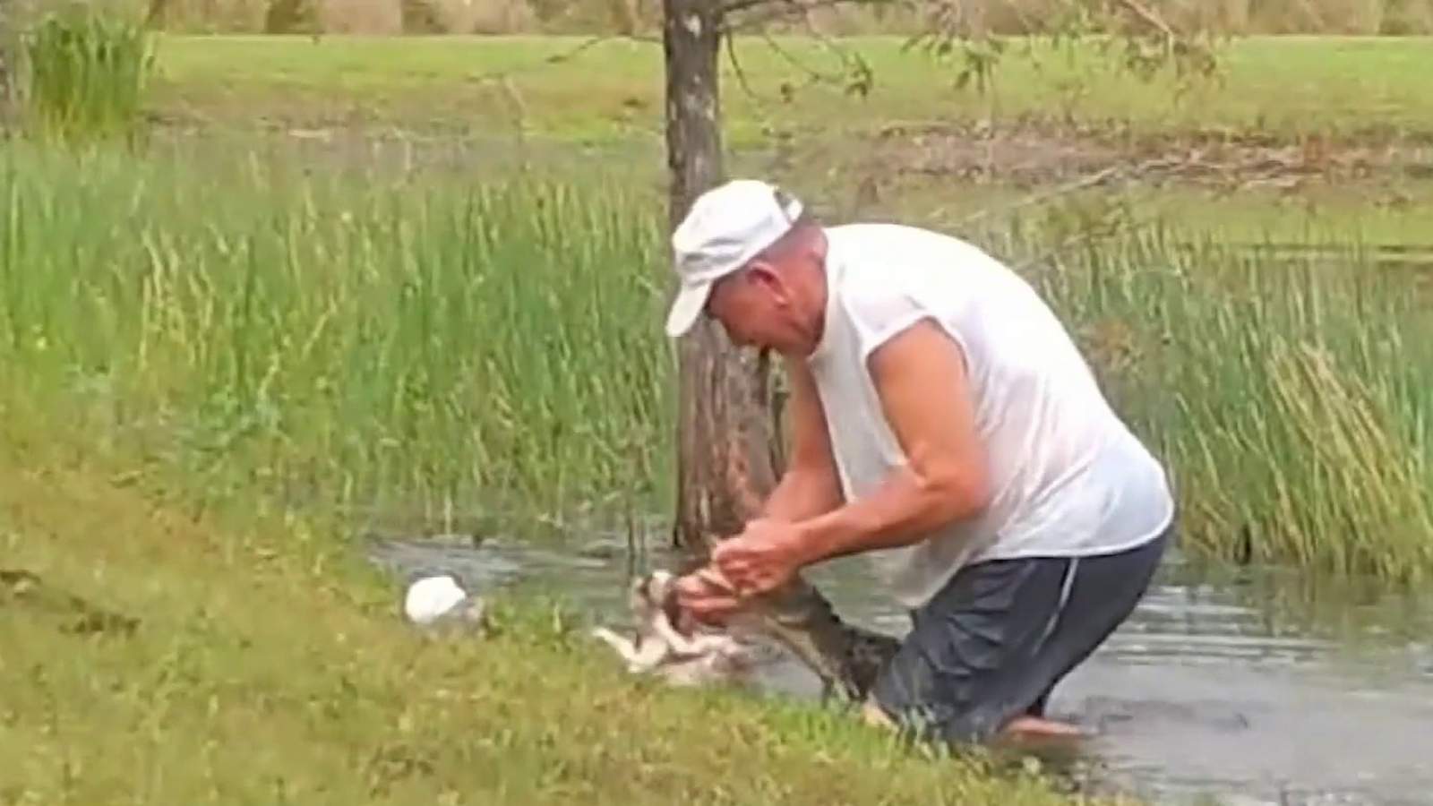 Florida man, 74, details rescuing his puppy from jaws of alligator