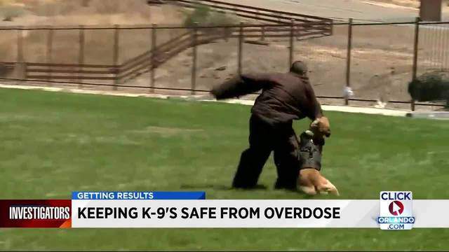 Local law enforcement agencies prepared to give K-9s Narcan