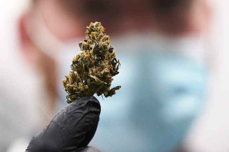 Florida doctors face new rules for smokable medical marijuana
