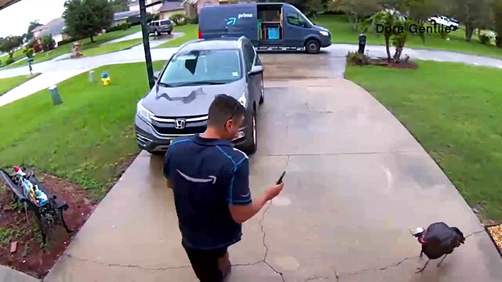 Video: Ticked off Turkey chases Amazon delivery driver away from DeBary home