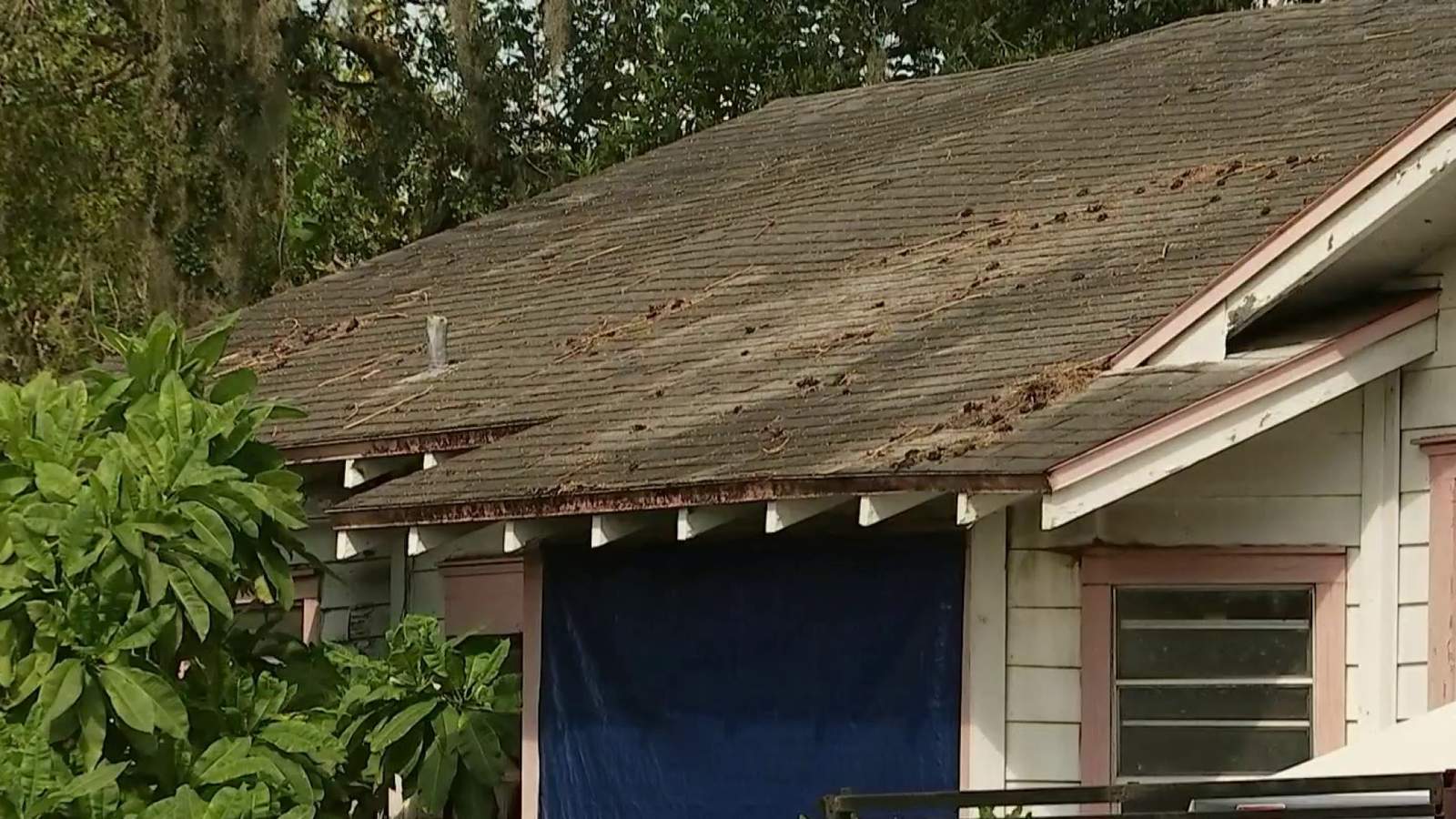 Can you pitch in? Community’s help needed to save Orlando woman’s home