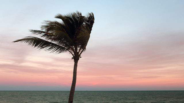 Why has it been so windy in Central Florida all week? Here’s the answer