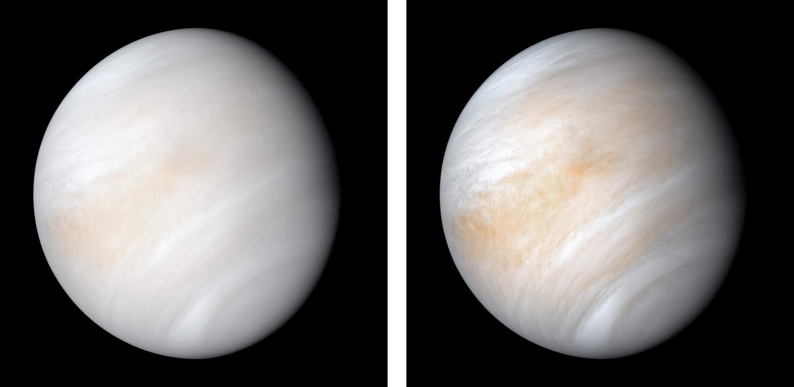 The curious tale of searching for signs of life on Venus