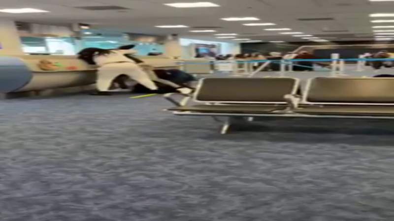 Caught on camera: Fist fights break out at Florida airport