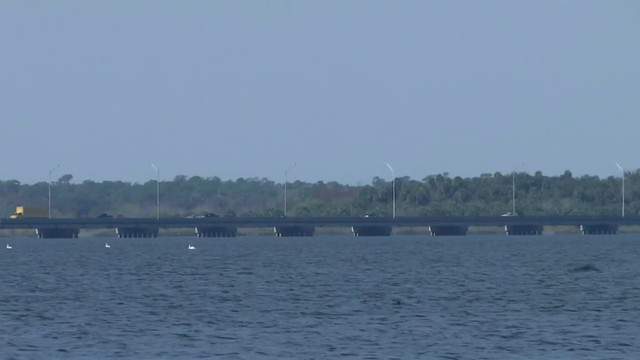 Toxic algae bloom confirmed at Lake Jesup in Seminole County