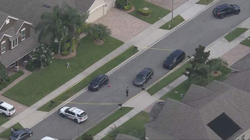 No description available