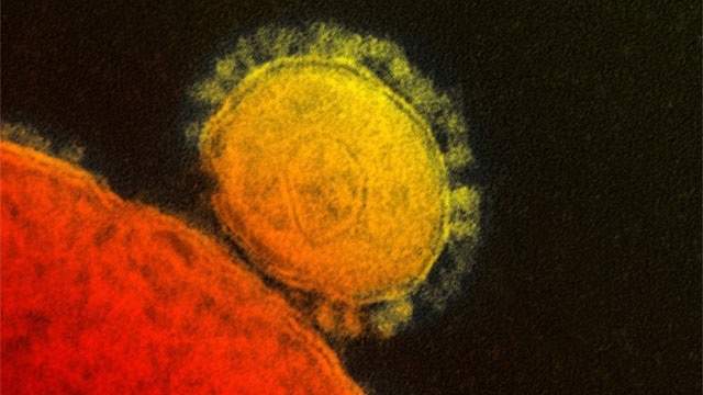 CDC announces case of coronavirus in US