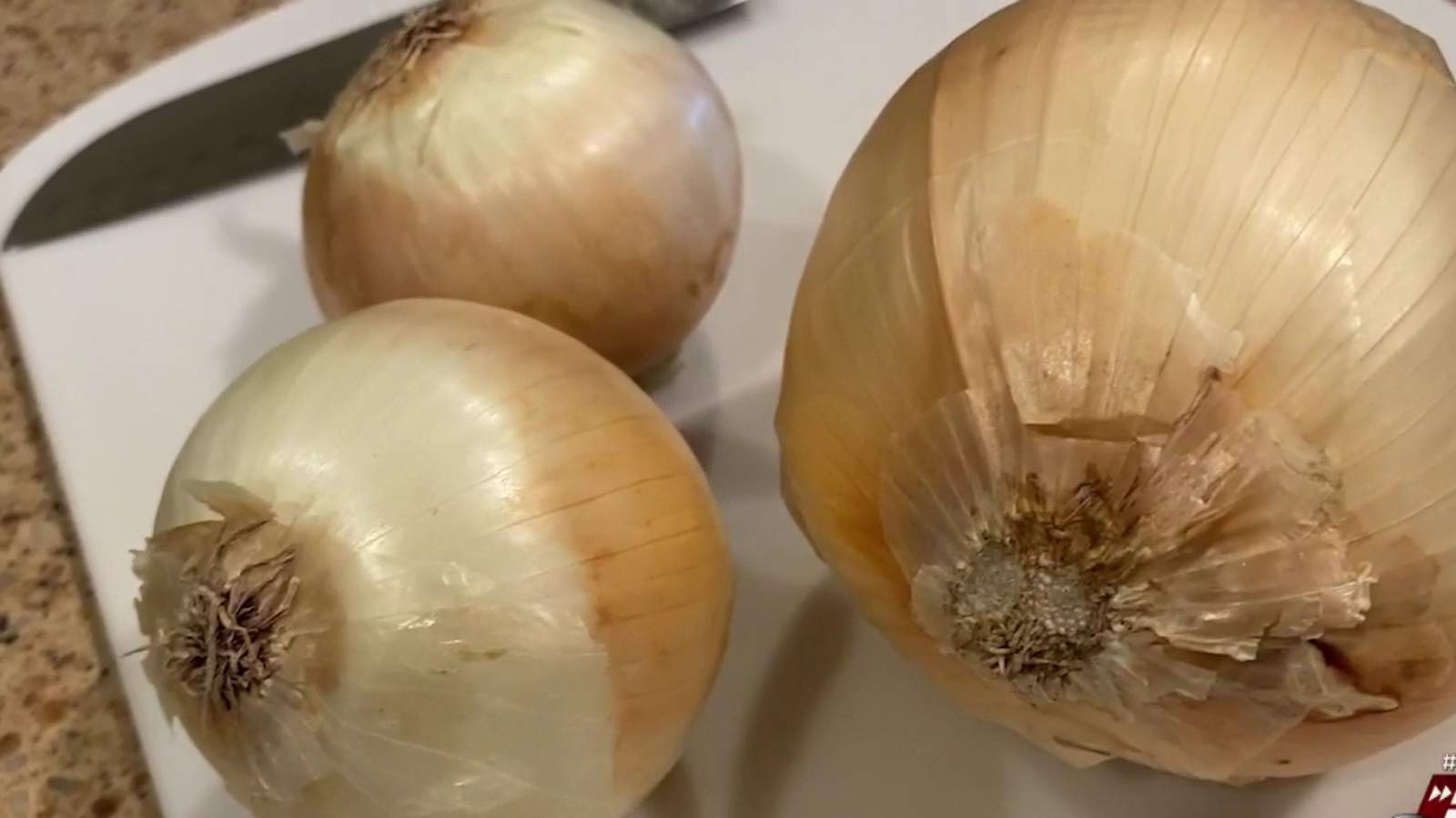 Onions used by Hello Fresh voluntarily recalled for possible presence of salmonella