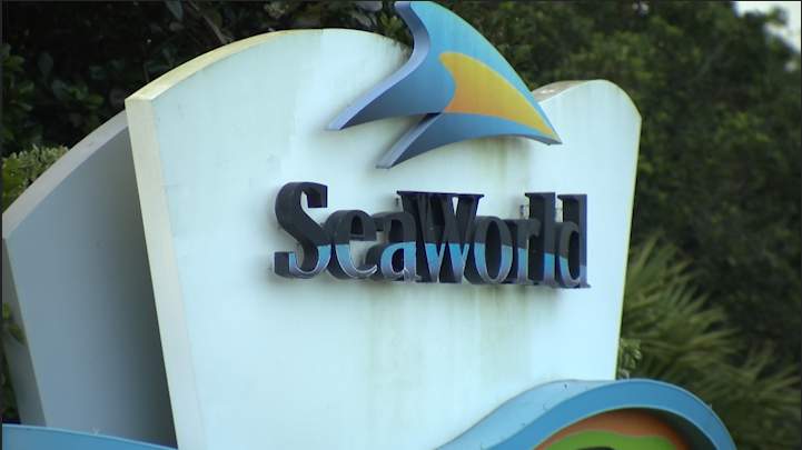 SeaWorld to offer guests an inside look at animal care within the theme park